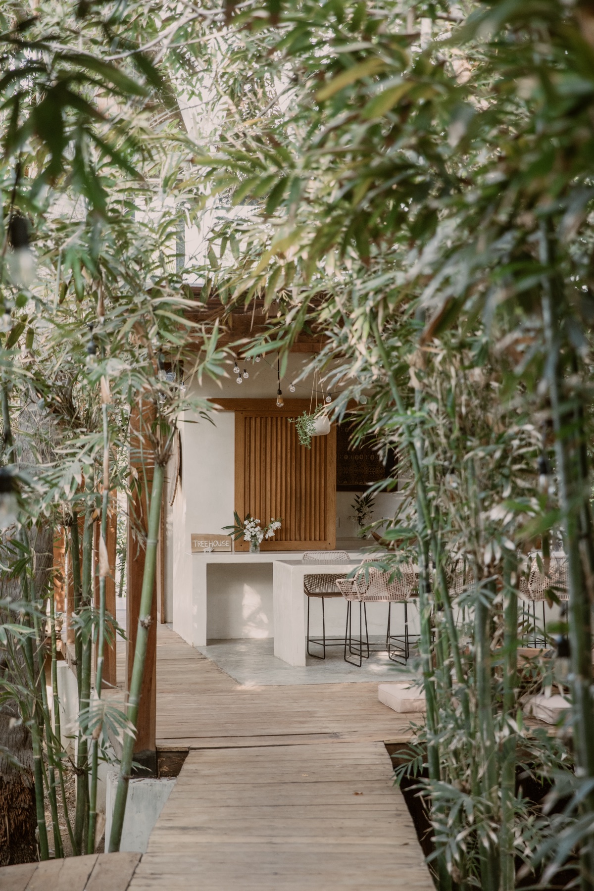 La Saladita — afternoon light