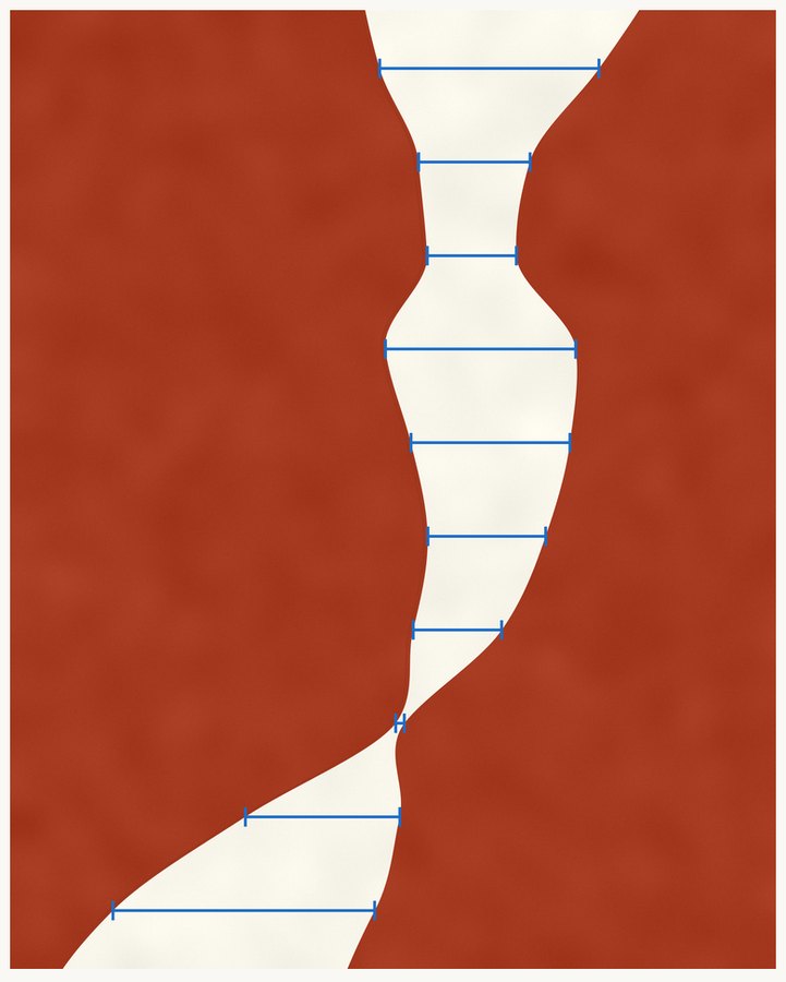 Lámina de anatomía: One Figure, Two Halves. Panel 4 de 4